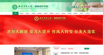 安徽農業大學植物保護學院網站建設