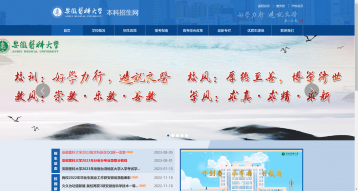 安徽醫科大學本科招生網網站建設