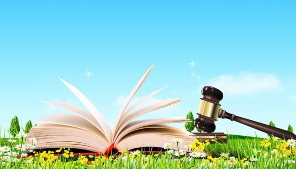 學(xué)校網(wǎng)站首頁(yè)